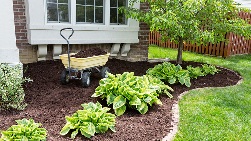 Benefits of Mulching Your Garden