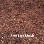 Pine Bark Mulch